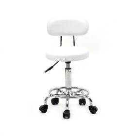 Round Shape Adjustable Salon Stool with Back and Line White (Option: White)